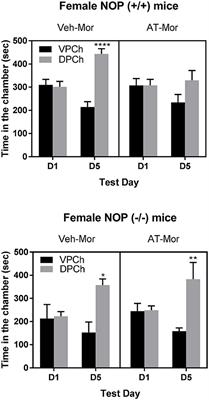 The Nociceptin Receptor (NOP) Agonist AT-312 Blocks Acquisition of Morphine- and Cocaine-Induced Conditioned Place Preference in Mice